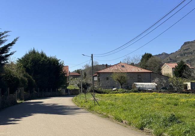 Barrio de Tarriba en Pámanes donde se encuentra la ganadería intervenida e investigada.